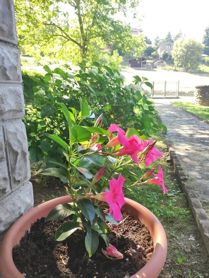 Villetta Con Giardino Camugnano
